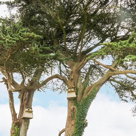 The Owl's Hoot Tatil Evi *